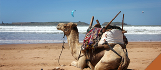 trek essaouira maroc